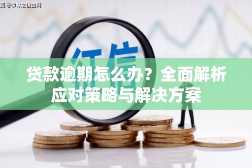 红原贷款逾期怎么办？全面解析应对策略与解决方案