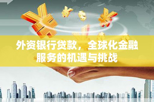 合山外资银行贷款，全球化金融服务的机遇与挑战