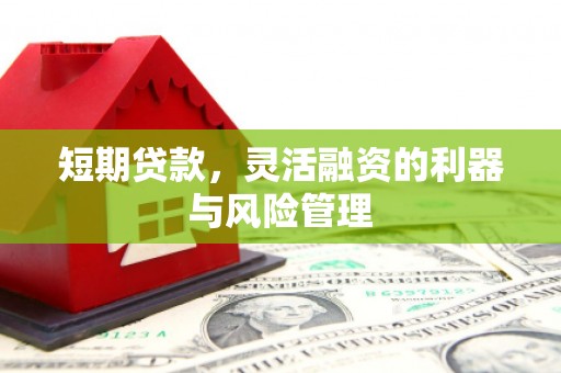 金华短期贷款，灵活融资的利器与风险管理