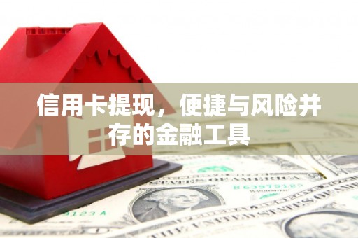 江海信用卡提现，便捷与风险并存的金融工具