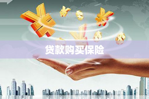 汉寿贷款购买保险