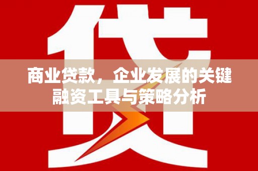 洋山商业贷款，企业发展的关键融资工具与策略分析
