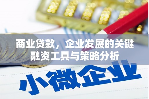 大观商业贷款，企业发展的关键融资工具与策略分析