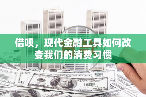 泉山借呗，现代金融工具如何改变我们的消费习惯