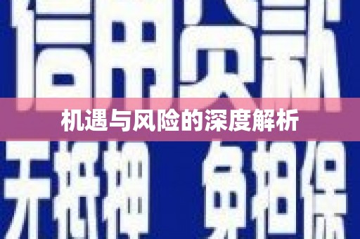 南化机遇与风险的深度解析
