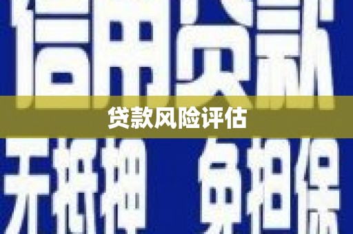 保德贷款风险评估