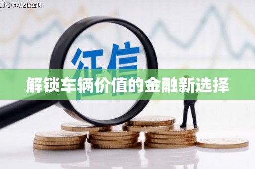 巴马解锁车辆价值的金融新选择