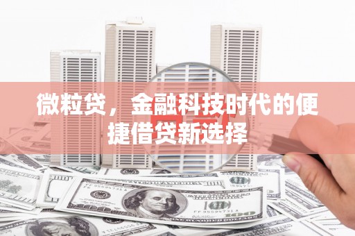 凤翔微粒贷，金融科技时代的便捷借贷新选择