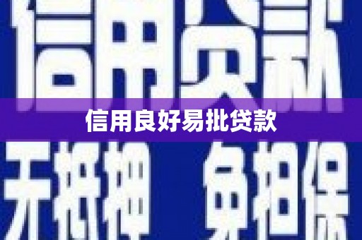 通海信用良好易批贷款