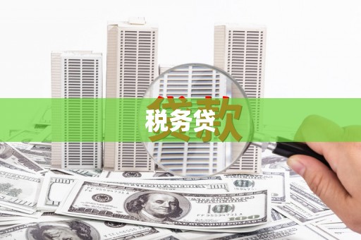 海安税务贷