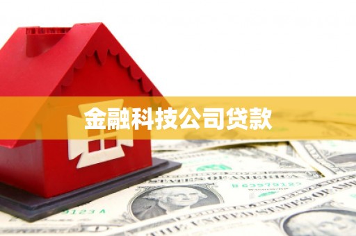 宁南金融科技公司贷款