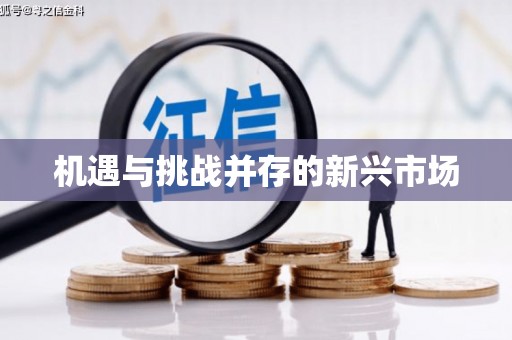二水机遇与挑战并存的新兴市场