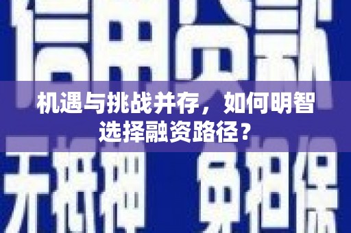 隆阳机遇与挑战并存，如何明智选择融资路径？