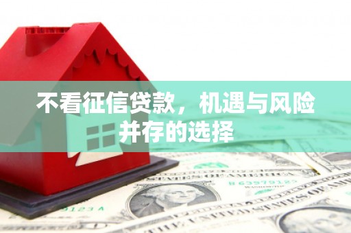 舞钢不看征信贷款，机遇与风险并存的选择