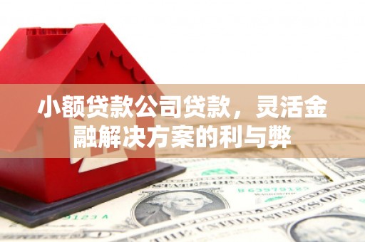 田林小额贷款公司贷款，灵活金融解决方案的利与弊